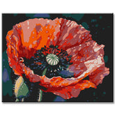 Poppies Blossom III Painting by Numbers - Shipping from DE
