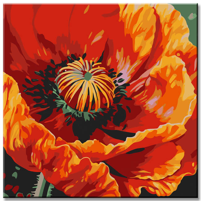 Poppy blossom art painting by numbers - shipping from DE