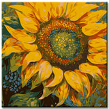 Sun Magic Painting by Numbers