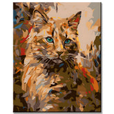 Paint by Numbers Somali Cat