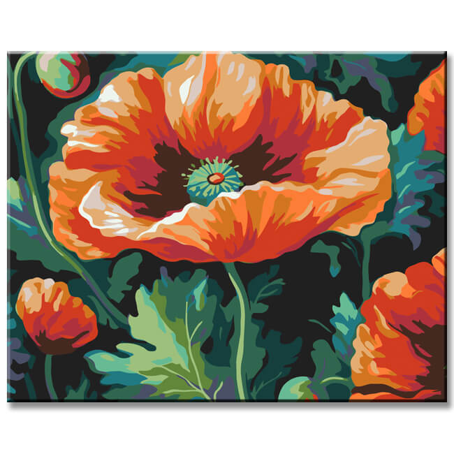 Poppy - Paint by Numbers