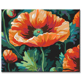 Poppy - Paint by Numbers