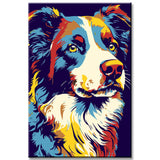 Colorful Border Collie - Painting by Numbers