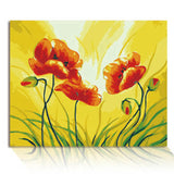 Paint by numbers poppies