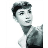 Painting by Numbers Audrey Hepburn