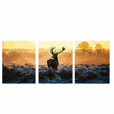 Paint by Numbers Triptych Wild Early Fog