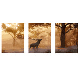 Paint by Numbers Triptych Wild Early Fog