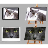 Production Process for Personalized Paint by Numbers: