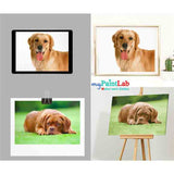 Production Process for Personalized Paint by Numbers:
