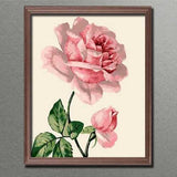 Painting by Numbers Flowers Pink Rose