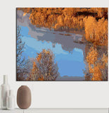Painting by numbers lake from above
