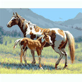 Painting by numbers horses in the meadow