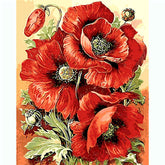 Pictures Painting by Numbers Poppies