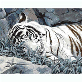 Paint by Numbers Animals Snow Tigers