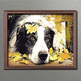 Painting by Numbers Loyal Dog Look