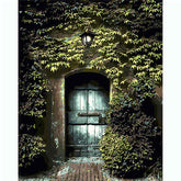 Painting by Numbers Pictures Ivy Gate