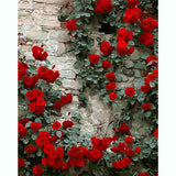 Painting by Numbers Wall with Roses