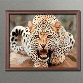 Painting by Numbers Animals Leopard