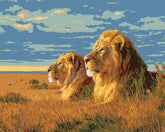 Painting by Numbers Lion Couple