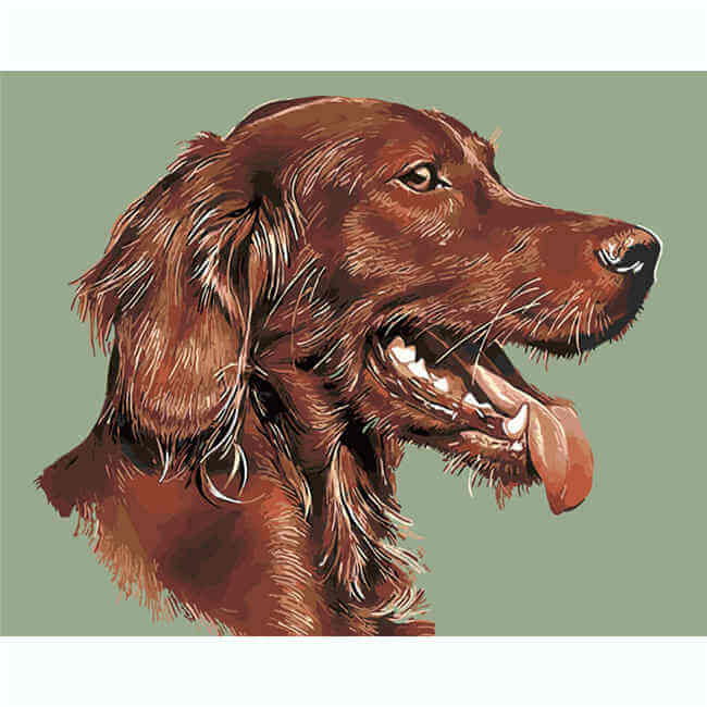 Painting by Numbers Cocker Spaniel