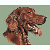 Painting by Numbers Dogs Cocker Spaniel Animal