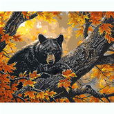 Painting by Numbers Brown Animals in The Autumn forest