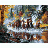 Paint by Numbers Animals Horses in The Water