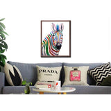 Painting by Numbers Animals Zebra in Rainbow Colors