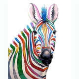 Painting by Numbers Animals Zebra in Rainbow Colors