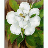 Painting by Numbers Flower White