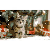 Painting by Numbers Santa Claus Cat