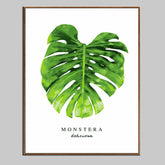 Paint by Numbers Plant