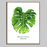 Paint by Numbers Plant