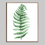 Painting by Numbers Plant Fern