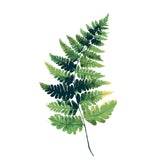 Painting by Numbers Plant Fern