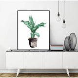 Painting by Numbers Plant Fern
