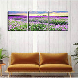 Paint by Numbers Triptych Lavender Field