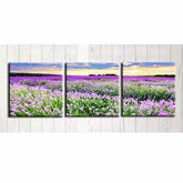 Paint by Numbers Triptych Lavender Field