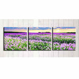 Paint by Numbers Triptych Lavender Field
