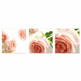 Paint by Numbers for Adults Triptych Pink Roses