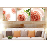 Paint by Numbers for Adults Triptych Pink Roses