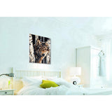 Painting by Numbers Wolf Motif for Adults
