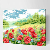 Paint by Numbers for Adults Flowers Poppy Field