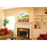 Paint by Numbers for Adults Flowers Poppy Field