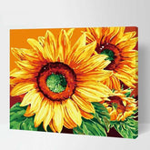 Painting by Numbers Sunflowers