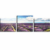 Painting by Numbers Lavender Field Mnz-SS-041- 3-Panel (Triptych)