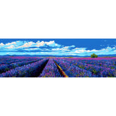 Painting by Numbers Lavender Field