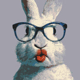 Painting by Numbers Animals Rabbit Pink