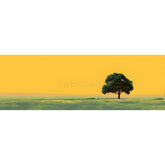 Painting by Numbers Tree Striking