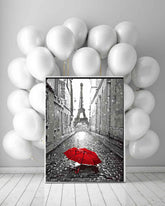Painting by Numbers Paris Red Umbrella